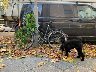 Photo by felix schwenzel on November 03, 2020. Keine Fotobeschreibung verf&uuml;gbar..