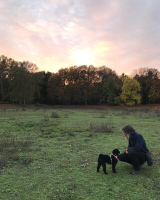 Photo by felix schwenzel in Volkspark Rehberge. Keine Fotobeschreibung verf&uuml;gbar..
