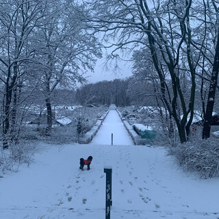 Photo by felix schwenzel on January 30, 2021. Keine Fotobeschreibung verf&uuml;gbar..