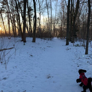 abendspaziergang in den rehbergen.