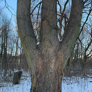 Photo by felix schwenzel on February 14, 2021. Keine Fotobeschreibung verf&uuml;gbar..