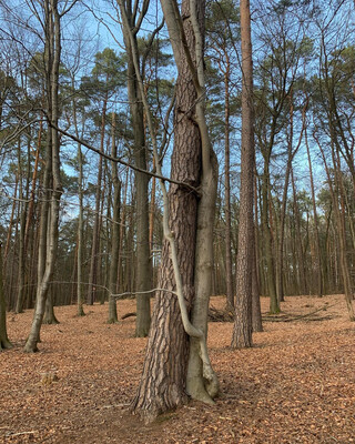 Photo by felix schwenzel in Summter See. Keine Fotobeschreibung verf&uuml;gbar..