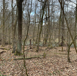 Photo by felix schwenzel on April 18, 2021. Keine Fotobeschreibung verf&uuml;gbar..