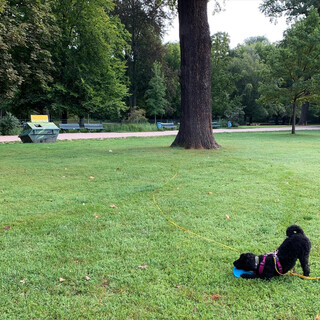 Photo by felix schwenzel in B&uuml;rgerpark Pankow. Keine Fotobeschreibung verf&uuml;gbar..