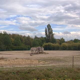 Photo by felix schwenzel in Tierpark Berlin. Keine Fotobeschreibung verf&uuml;gbar..