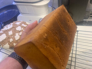 2023-03-05_18-42-40_UTC_5.jpg