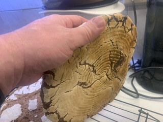 2023-03-05_18-42-40_UTC_6.jpg