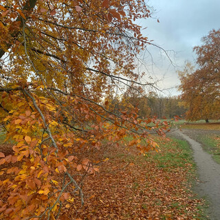 Photo by felix schwenzel on November 19, 2024. Keine Fotobeschreibung verf&uuml;gbar..