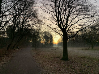 Photo by felix schwenzel in Volkspark Rehberge. Keine Fotobeschreibung verf&uuml;gbar..