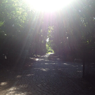 Photo by felix schwenzel in Volkspark Rehberge. Keine Fotobeschreibung verf&uuml;gbar..