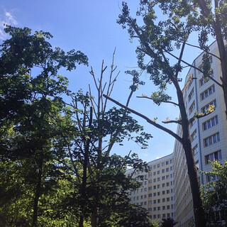 Photo by felix schwenzel on June 01, 2014. Keine Fotobeschreibung verf&uuml;gbar..