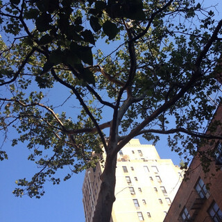 Photo by felix schwenzel in Chelsea, Manhattan N.Y.. Keine Fotobeschreibung verf&uuml;gbar..