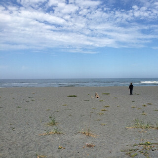 Photo by felix schwenzel in Agate Beach with @katia__kelm. Keine Fotobeschreibung verf&uuml;gbar..