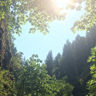 Photo by felix schwenzel in Oneonta Gorge. Keine Fotobeschreibung verf&uuml;gbar..