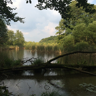 Photo by felix schwenzel on September 07, 2014. Keine Fotobeschreibung verf&uuml;gbar..