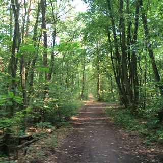 Photo by felix schwenzel on September 07, 2014. Keine Fotobeschreibung verf&uuml;gbar..