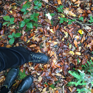Photo by felix schwenzel on October 18, 2014. Keine Fotobeschreibung verf&uuml;gbar..
